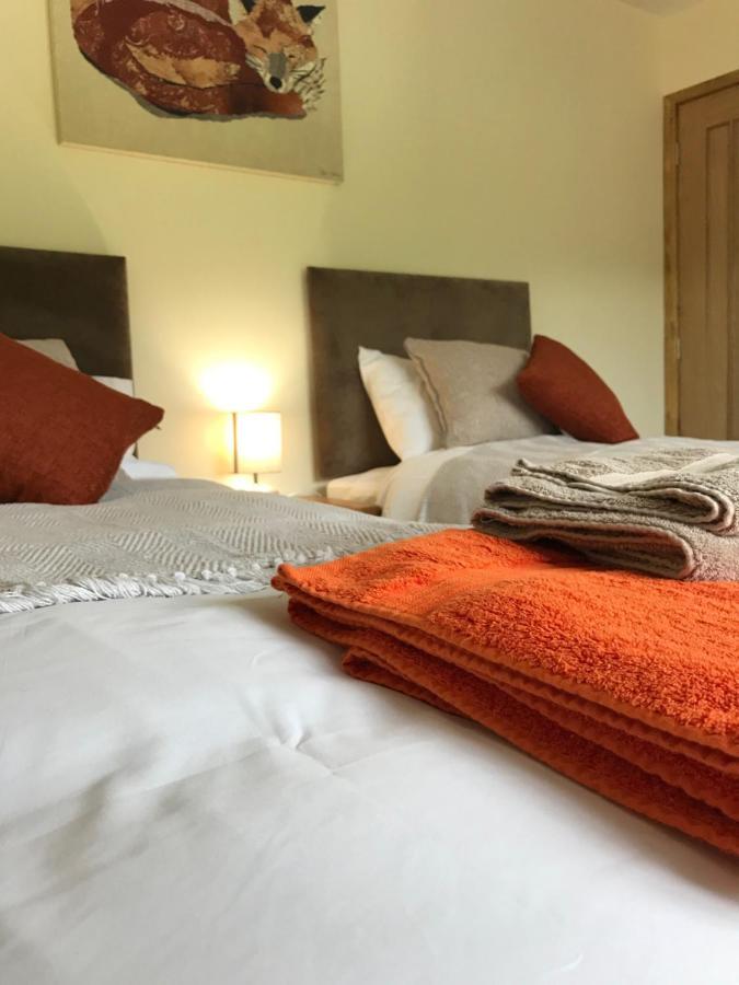 Moelfre B&B Machynlleth Kültér fotó